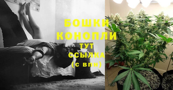 не бодяженный Бронницы