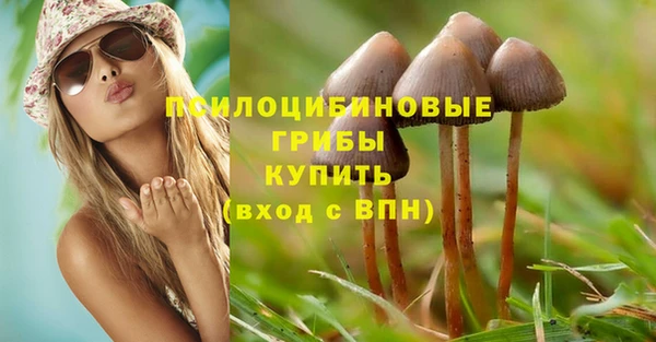 COCAINE Бородино