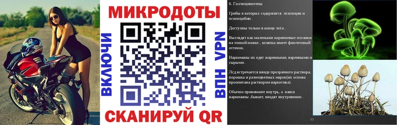 Псилоцибиновые грибы мицелий  Мончегорск 
